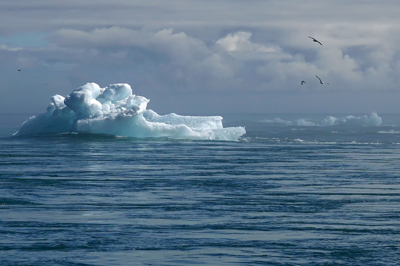 découvrez l'importance de la responsabilité climatique et comment elle peut influencer les actions des entreprises et des gouvernements pour un avenir durable. engagez-vous à comprendre les enjeux liés au changement climatique et à promouvoir des solutions efficaces pour un environnement sain.