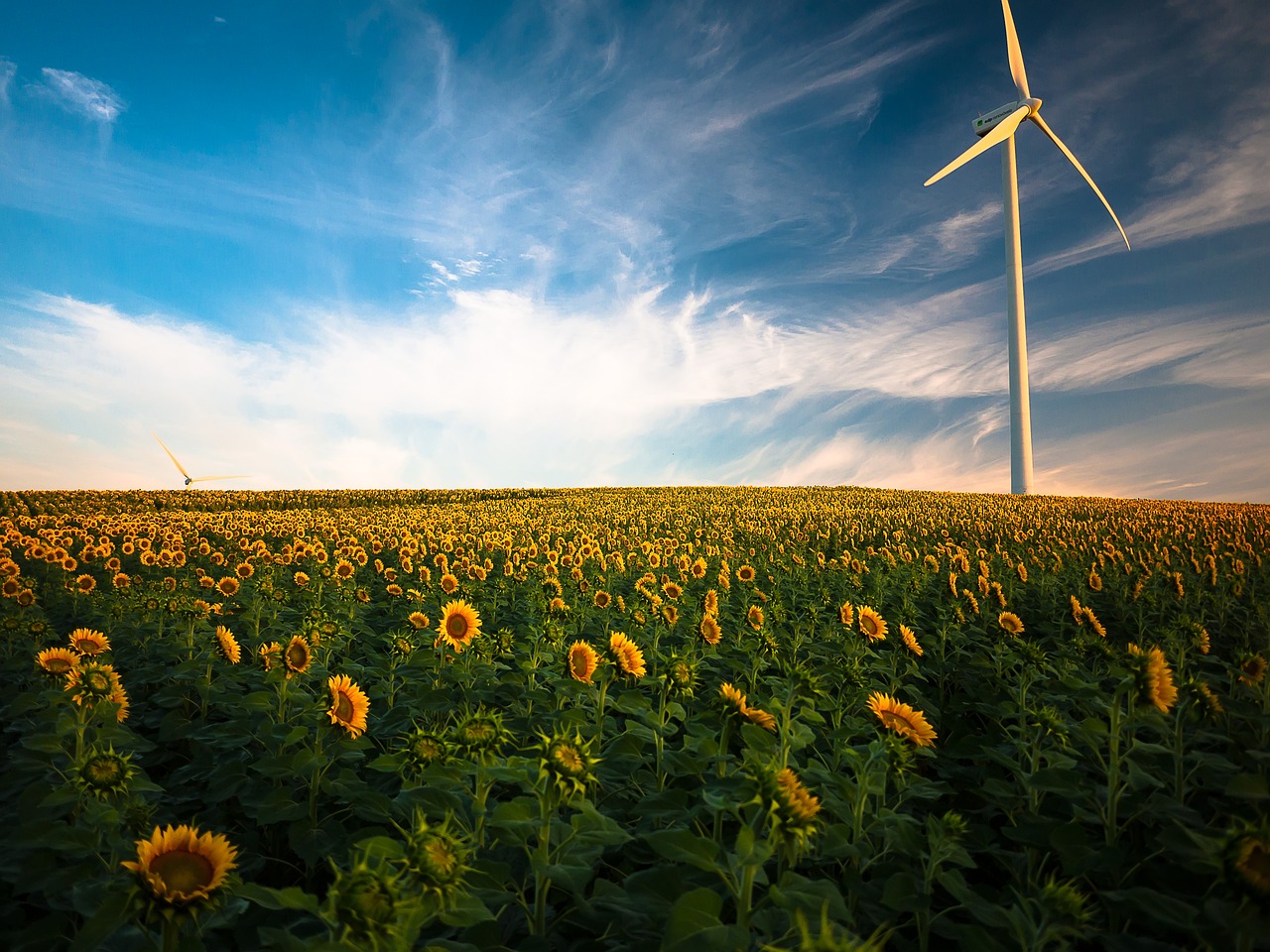 découvrez les avantages de l'énergie renouvelable, une solution durable pour un avenir plus propre. apprenez-en davantage sur les différentes sources d'énergie verte, leur impact environnemental et comment elles peuvent contribuer à la transition énergétique globale.