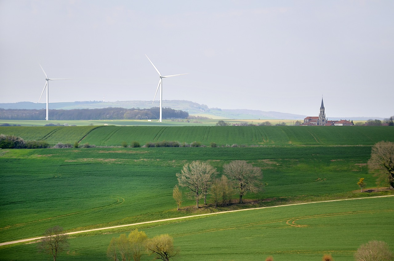 découvrez notre stratégie de développement durable, axée sur l'équilibre entre croissance économique, protection de l'environnement et bien-être social. engagez-vous pour un avenir responsable et éthique grâce à des pratiques durables et innovantes.