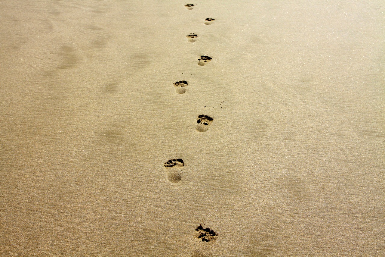 découvrez comment réduire votre empreinte carbone et contribuer à la lutte contre le changement climatique. nos conseils pratiques et informations vous aideront à adopter un mode de vie plus durable et à minimiser votre impact sur l'environnement.