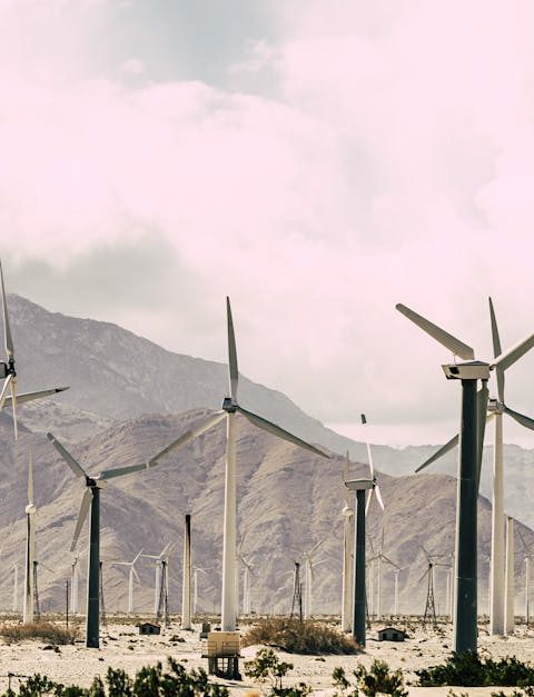 découvrez comment la transition énergétique transforme notre avenir, en intégrant des sources d'énergie renouvelables, en améliorant l'efficacité énergétique et en réduisant notre empreinte carbone. explorez les enjeux, les solutions innovantes et les opportunités offertes par cette évolution vers un monde plus durable.