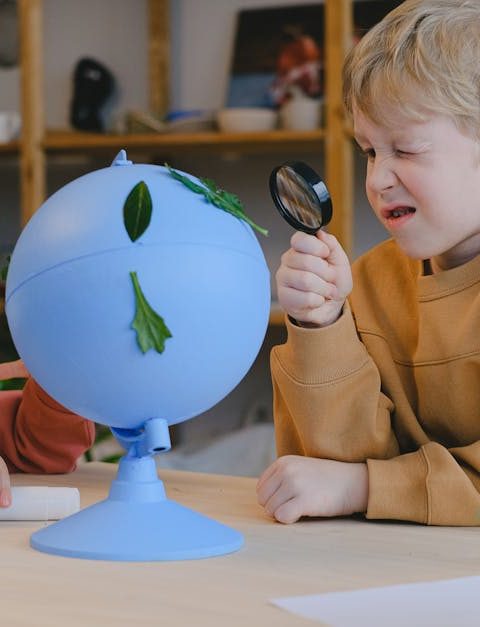 découvrez l'importance de l'éducation environnementale pour sensibiliser les jeunes générations aux enjeux écologiques, promouvoir des pratiques durables et protéger notre planète. apprenez comment initier des actions concrètes pour un avenir meilleur.