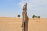 Consensus écologique : Comprendre les mécanismes de collaboration pour préserver notre planète