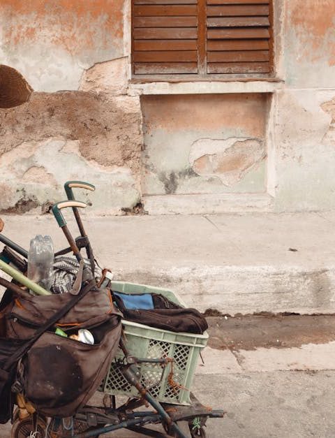 découvrez comment les communautés résilientes s'adaptent et prospèrent face aux défis. explorez des stratégies innovantes, des initiatives locales et des histoires inspirantes qui renforcent la solidarité et favorisent un avenir durable.