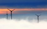 Changement climatique : comprendre ses impacts sur la biodiversité