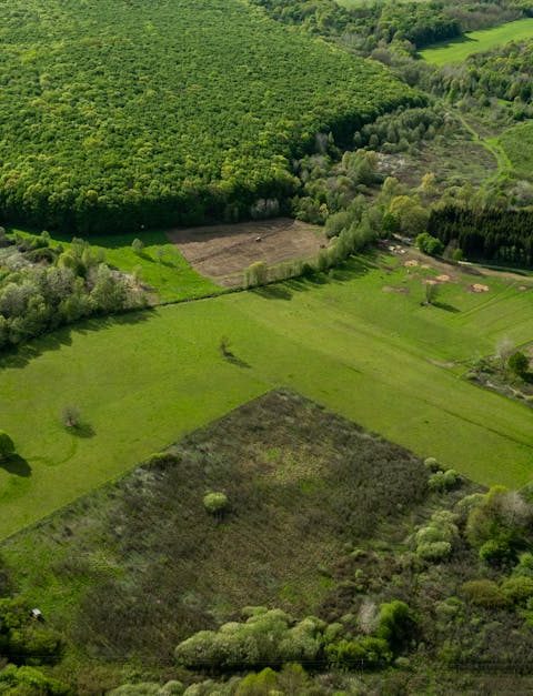 découvrez comment l'écologie peut rassembler différentes idées et approches pour créer un consensus durable. explorez les enjeux environnementaux actuels et les stratégies collaboratives qui favorisent un avenir plus vert et harmonieux.