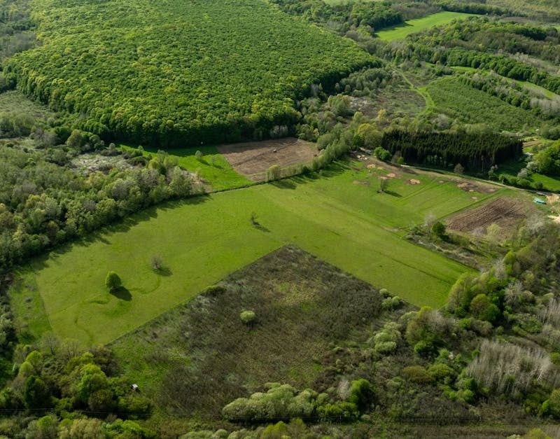 découvrez comment l'écologie peut rassembler différentes idées et approches pour créer un consensus durable. explorez les enjeux environnementaux actuels et les stratégies collaboratives qui favorisent un avenir plus vert et harmonieux.