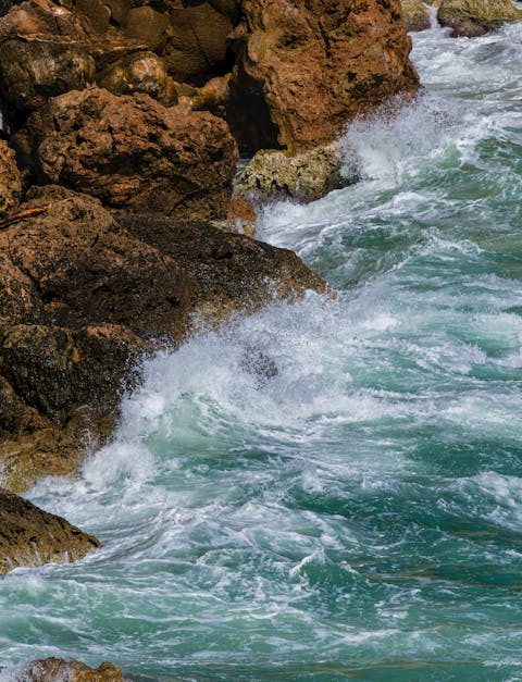 découvrez les enjeux et les opportunités de la finance climatique pour soutenir la transition vers une économie durable. explorez les solutions financières innovantes qui permettent de lutter contre le changement climatique et de promouvoir des projets écologiques à travers le monde.