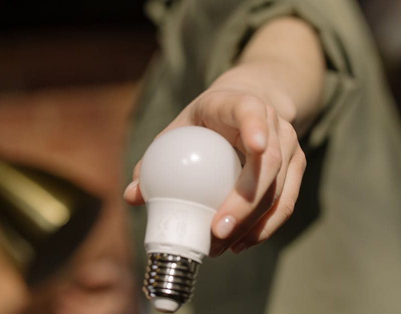 découvrez comment l'innovation durable transforme notre avenir, alliant technologie et écologie pour créer des solutions respectueuses de l'environnement et économiquement viables.