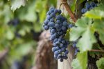 Planification écologique : Stratégies durables pour un avenir meilleur