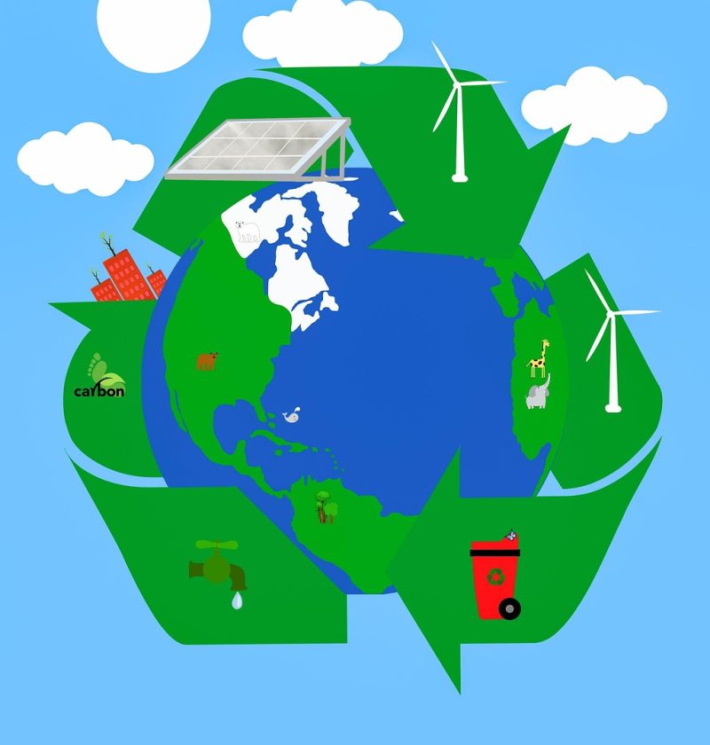 découvrez des initiatives durables qui transforment notre avenir. explorez des projets innovants et des solutions écologiques visant à réduire notre empreinte carbone et à promouvoir la durabilité environnementale.
