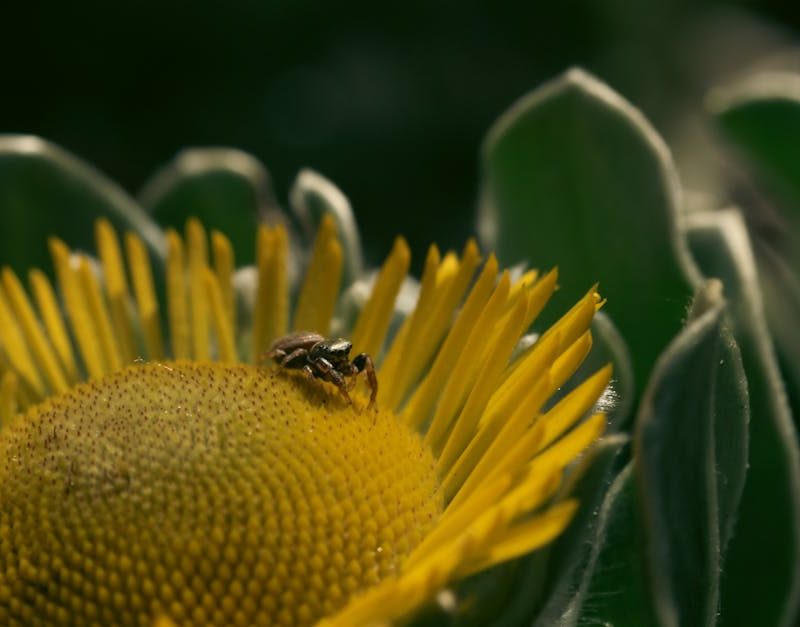 découvrez les politiques environnementales essentielles qui façonnent notre avenir, en promouvant la durabilité, la conservation des ressources naturelles et la lutte contre le changement climatique.
