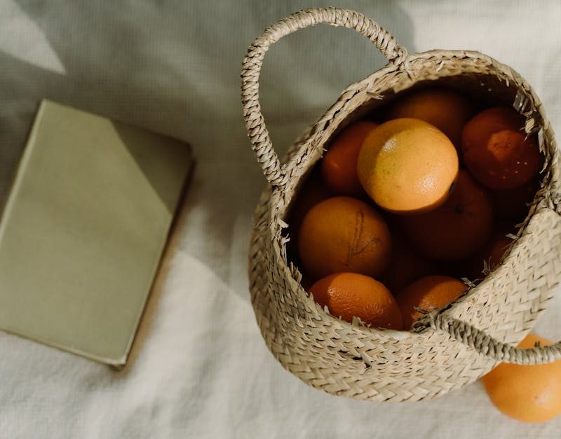 découvrez un mode de vie durable qui allie respect de l'environnement et bien-être. apprenez des astuces simples pour réduire votre empreinte écologique, adopter des pratiques écoresponsables et vivre en harmonie avec la nature.