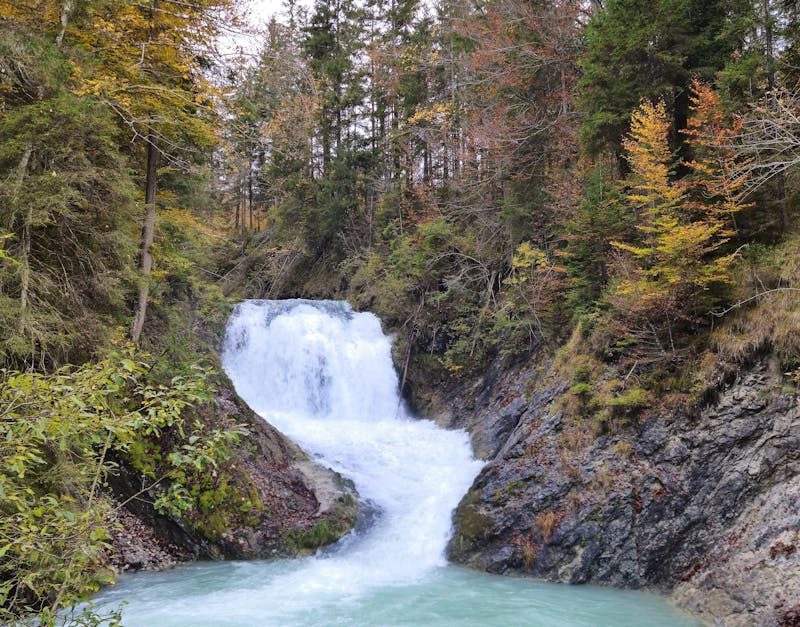 découvrez l'importance cruciale des ressources en eau, leur gestion durable et leur impact sur notre environnement. apprenez comment préserver cette précieuse ressource pour les générations futures.