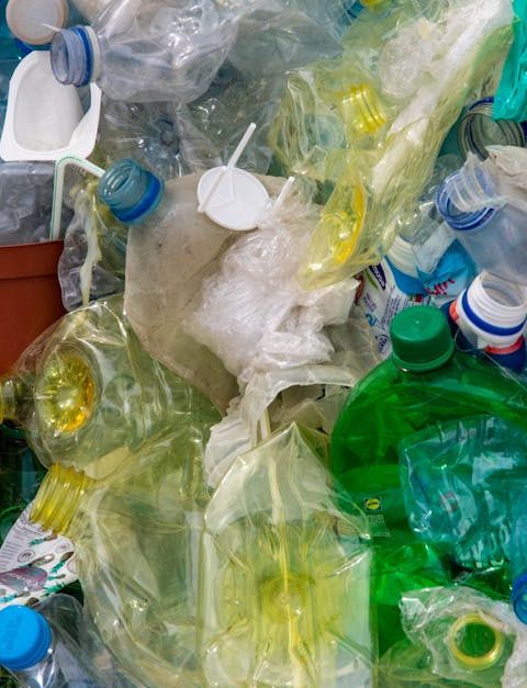découvrez l'importance de la sensibilisation à l'environnement et comment chacun peut contribuer à la protection de notre planète. explorez des conseils pratiques, des initiatives écologiques et des ressources pour un avenir durable.