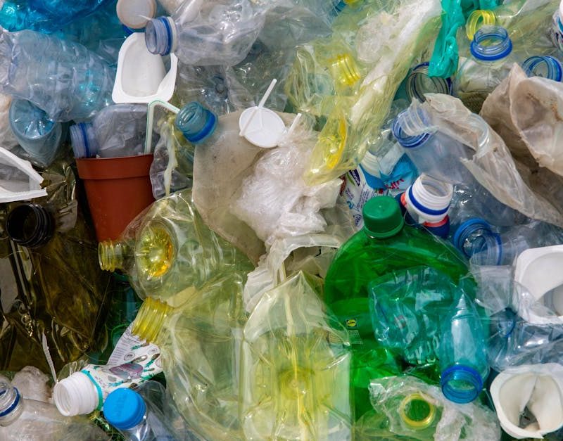 découvrez l'importance de la sensibilisation à l'environnement et comment chacun peut contribuer à la protection de notre planète. explorez des conseils pratiques, des initiatives écologiques et des ressources pour un avenir durable.