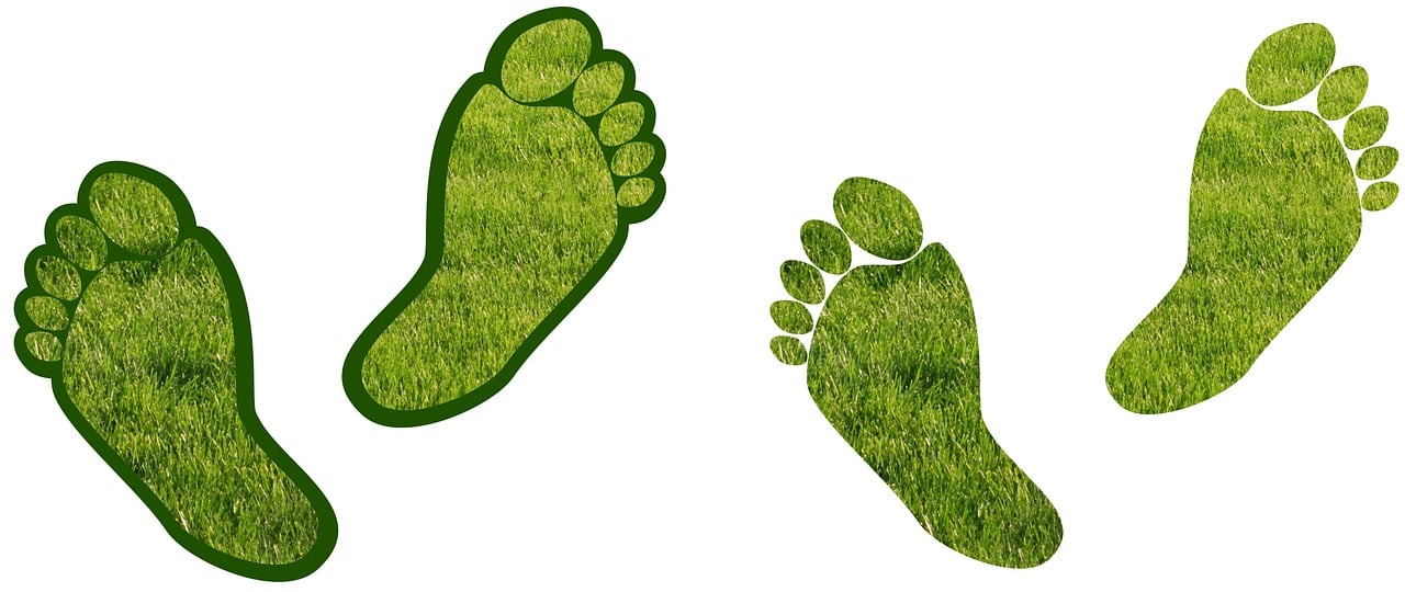 découvrez tout sur l'empreinte carbone : son importance, comment la mesurer et des conseils pratiques pour la réduire. engagez-vous pour un avenir durable en comprenant l'impact de vos actions sur l'environnement.