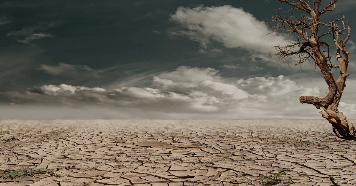 découvrez l'impact du changement climatique sur notre planète et les actions essentielles à entreprendre pour préserver notre environnement. informez-vous sur les conséquences des réchauffements globaux, les initiatives durables et comment chacun peut contribuer à la lutte contre ce défi mondial.