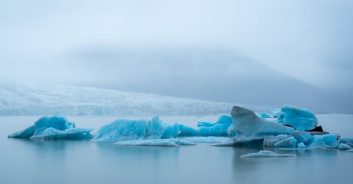 découvrez l'importance de la finance climatique dans la lutte contre le changement climatique. explorez les initiatives, les investissements et les stratégies innovantes visant à soutenir la transition vers une économie durable et résiliente.