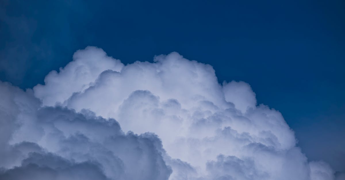 découvrez l'importance de la finance climatique et son rôle crucial pour soutenir les initiatives de durabilité et de lutte contre le changement climatique. explorez les investissements, les politiques et les innovations qui transforment l'avenir environnemental.