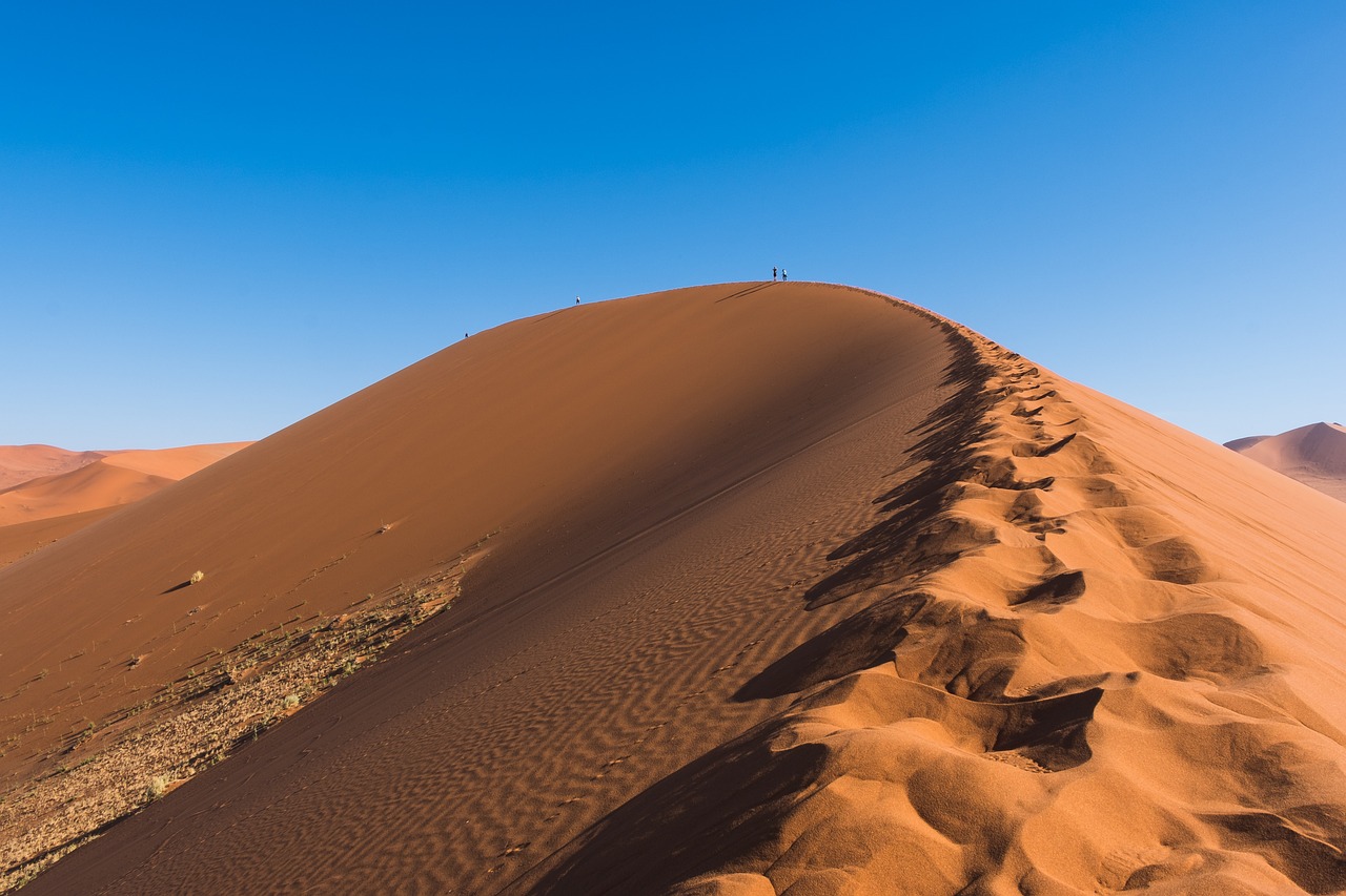 découvrez les enjeux climatiques actuels, les impacts du changement climatique sur notre planète et les solutions pour un avenir durable. informez-vous sur les initiatives écologiques et les actions individuelles à entreprendre pour préserver notre environnement.