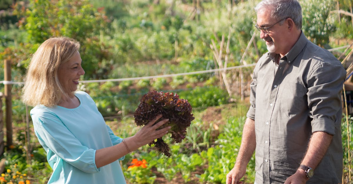 découvrez les bienfaits du jardinage communautaire : partagez vos connaissances, cultivez des plantes ensemble et renforcez les liens sociaux tout en apprenant des techniques durables pour embellir votre quartier.