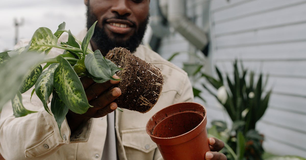découvrez les bienfaits du jardinage communautaire : un moyen unique de renforcer les liens sociaux, de cultiver des aliments frais et de promouvoir la durabilité. rejoignez une communauté passionnée où partage et entraide riment avec jardins florissants.