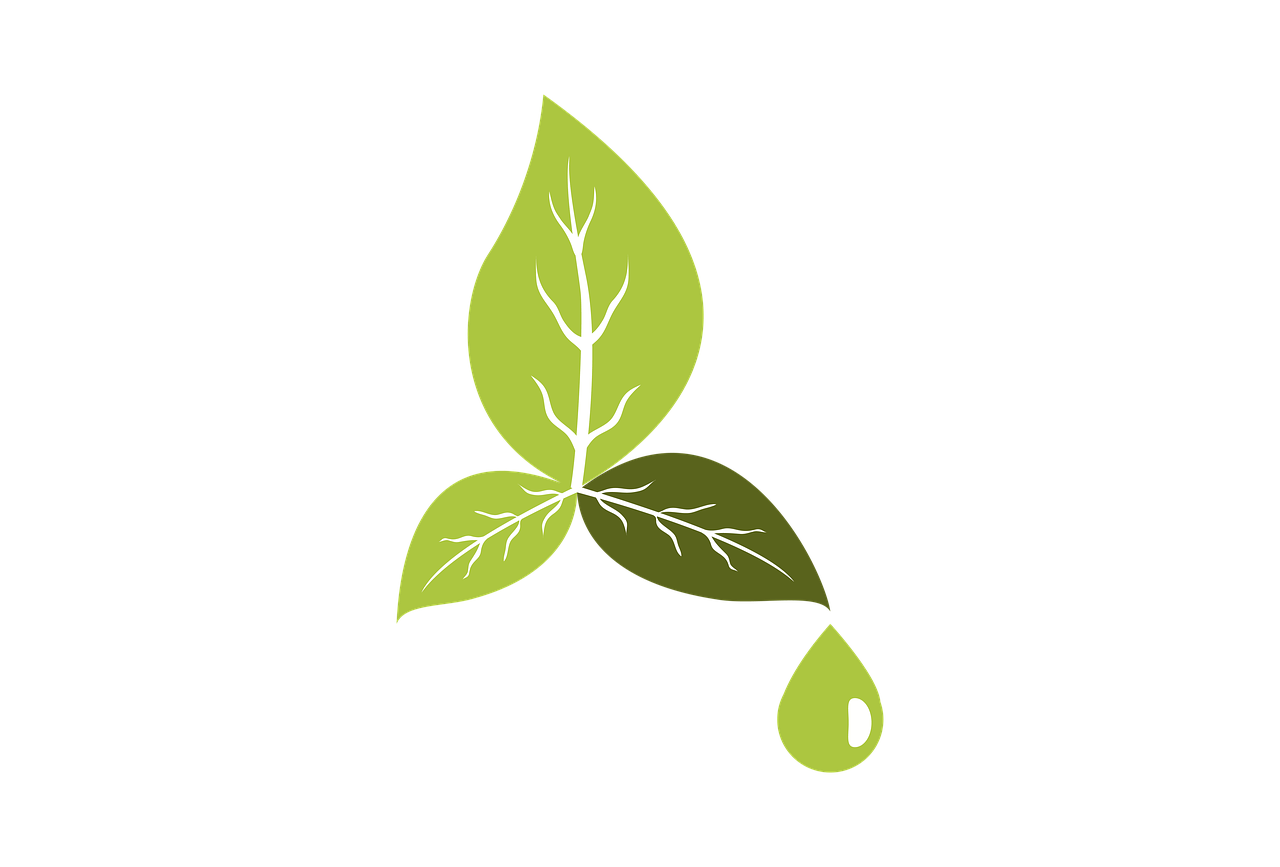découvrez des initiatives éco-responsables qui visent à protéger notre planète tout en améliorant notre qualité de vie. explorez des solutions durables, des conseils pratiques et des projets innovants qui font la différence pour un avenir meilleur.