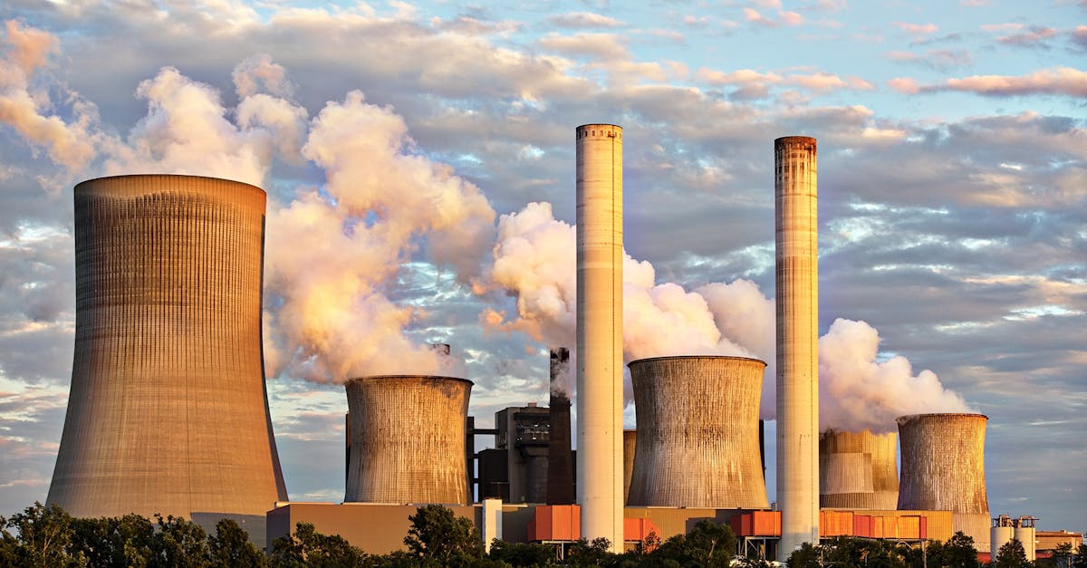 découvrez l'impact environnemental des activités humaines et les mesures à prendre pour préserver notre planète. informez-vous sur les enjeux écologiques et les solutions durables pour un avenir meilleur.