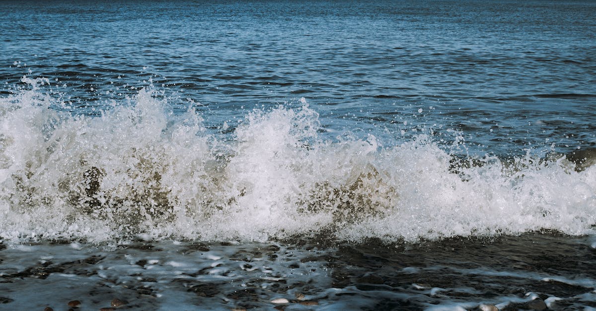 découvrez l'énergie marine renouvelable, une source d'énergie durable et innovante qui exploite la puissance des océans, des vagues et des marées pour produire une électricité verte et respectueuse de l'environnement.