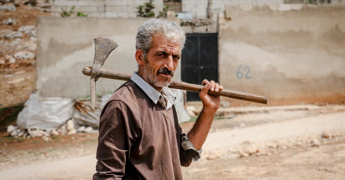 découvrez comment les communautés résilientes surmontent les défis grâce à la solidarité, l'innovation et l'adaptabilité. explorez des stratégies qui renforcent le lien social et favorisent un avenir durable.