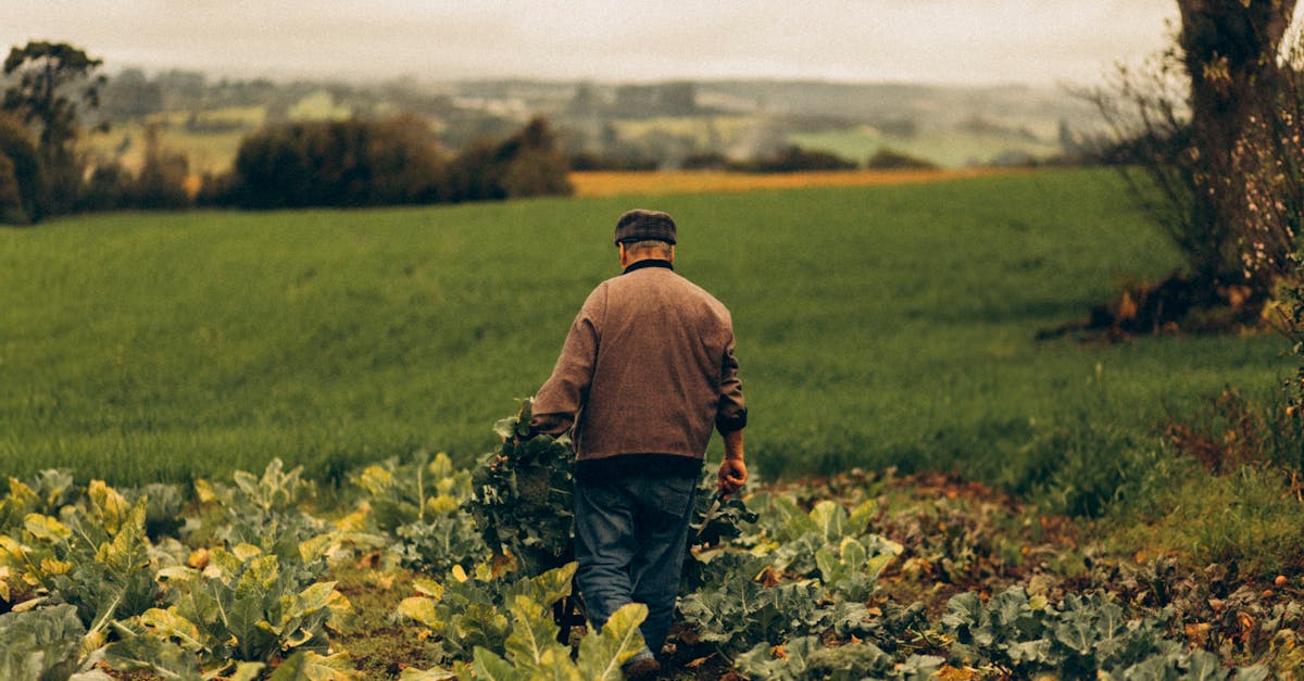découvrez l'agriculture durable, une approche innovante qui préserve notre environnement tout en garantissant des récoltes abondantes. apprenez comment ces pratiques respectueuses de la nature contribuent à la biodiversité, à la santé des sols et à une alimentation saine pour tous.