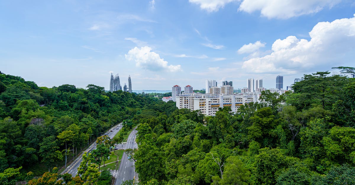 découvrez comment une ville durable allie innovation, écologie et qualité de vie pour créer un environnement urbain agréable et respectueux de la planète. explorez des initiatives, des projets et des solutions qui favorisent la mobilité verte, l'économie circulaire et le bien-être des citoyens dans un cadre urbain éco-responsable.
