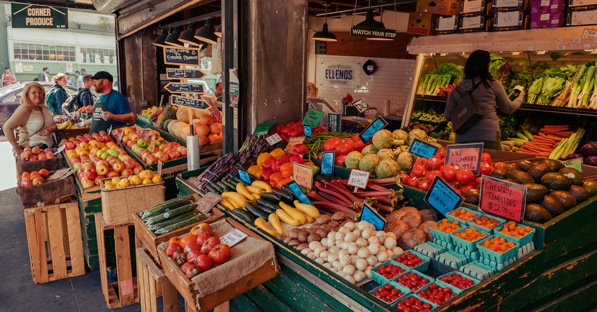 découvrez comment les communautés durables favorisent un mode de vie respectueux de l'environnement, tout en promouvant la solidarité et le bien-être social. explorez des initiatives innovantes qui allient écologie, économie locale et engagement citoyen pour construire un avenir meilleur.