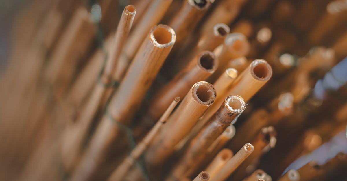 découvrez les pratiques de la construction durable qui préservent l'environnement tout en offrant des solutions innovantes et économiquement viables. apprenez comment réduire votre empreinte carbone et construire des bâtiments écologiques.