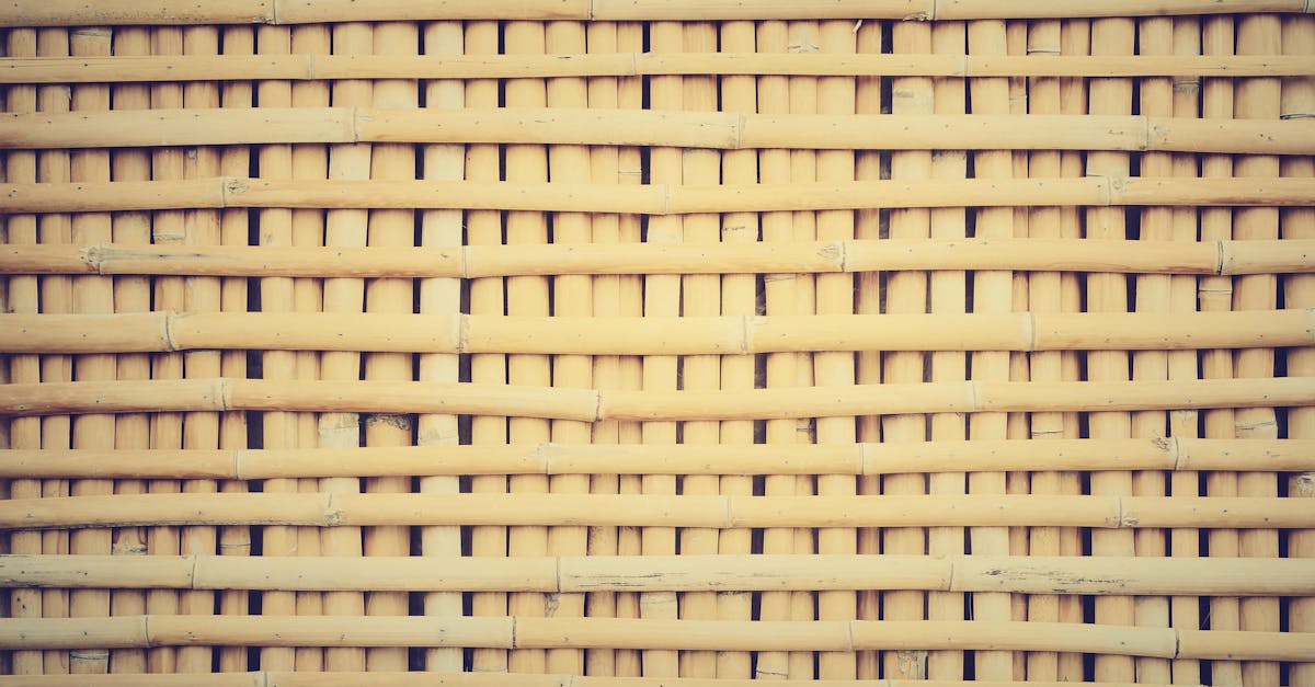 découvrez les pratiques de construction durable qui préservent l'environnement tout en bâtissant des espaces modernes et fonctionnels. apprenez à intégrer des matériaux écologiques et des techniques innovantes pour une bâtisse respectueuse de la planète.
