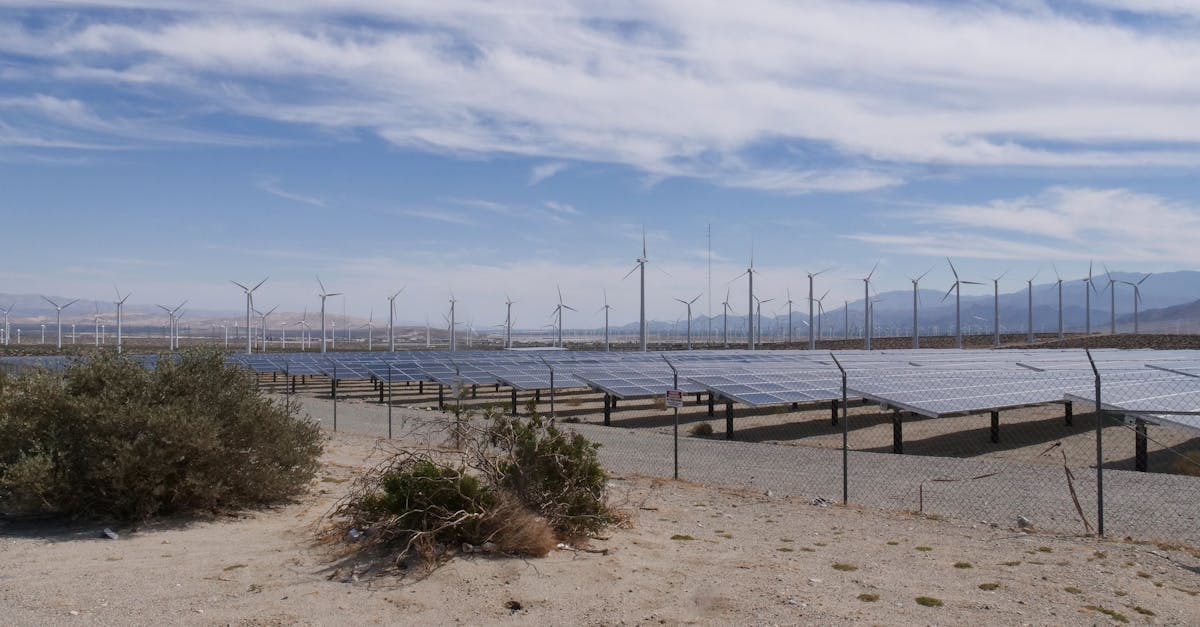 découvrez comment les infrastructures durables transforment nos villes pour un avenir plus vert. explorez les solutions innovantes qui allient efficacité, respect de l'environnement et empreinte carbone réduite.