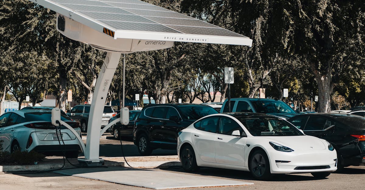découvrez comment l'innovation durable transforme les industries et façonne un avenir respectueux de l'environnement. explorez des solutions innovantes qui allient performance économique et responsabilité écologique.