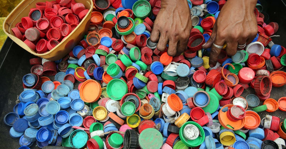 découvrez des conseils pratiques et des idées inspirantes pour adopter un mode de vie durable. apprenez à réduire votre empreinte écologique, à privilégier des produits éthiques et à vivre en harmonie avec la planète tout en préservant votre bien-être.