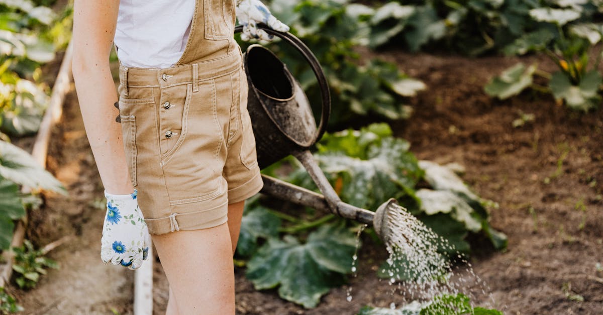 découvrez les principes du mode de vie durable : des conseils pratiques pour réduire votre empreinte écologique, promouvoir une consommation responsable et vivre en harmonie avec la nature.