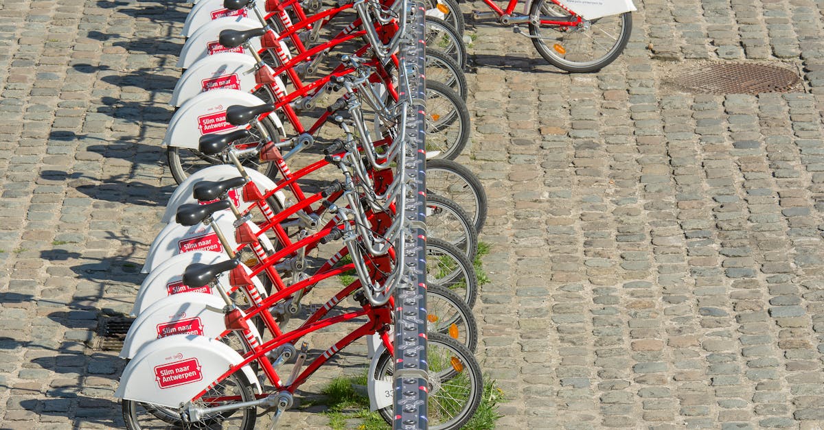 découvrez comment la mobilité durable transforme nos villes et réduit notre empreinte écologique. apprenez les solutions innovantes pour des transports écologiques et accessibles, favorisant un avenir plus vert.