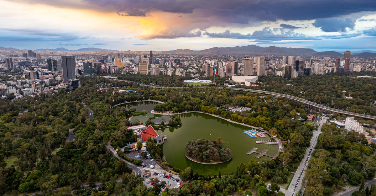 découvrez les dynamiques fascinantes des écosystèmes urbains, où la biodiversité rencontre l'urbanisme. explorez comment la nature s'épanouit au cœur des villes et les défis de la coexistence entre l'homme et l'environnement.