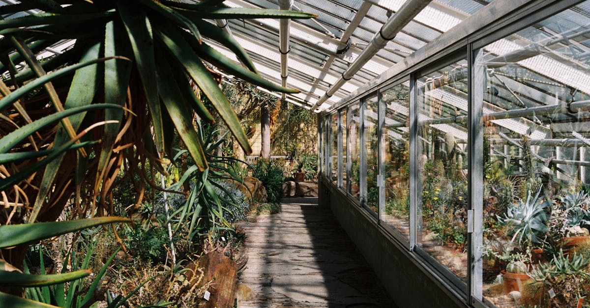 découvrez l'univers du jardinage urbain : astuces, conseils et techniques pour cultiver des plantes en milieu urbain, transformer votre balcon ou votre petite cour en un havre de verdure. apprenez à récolter des légumes frais et à embellir votre espace tout en respectant l'environnement.
