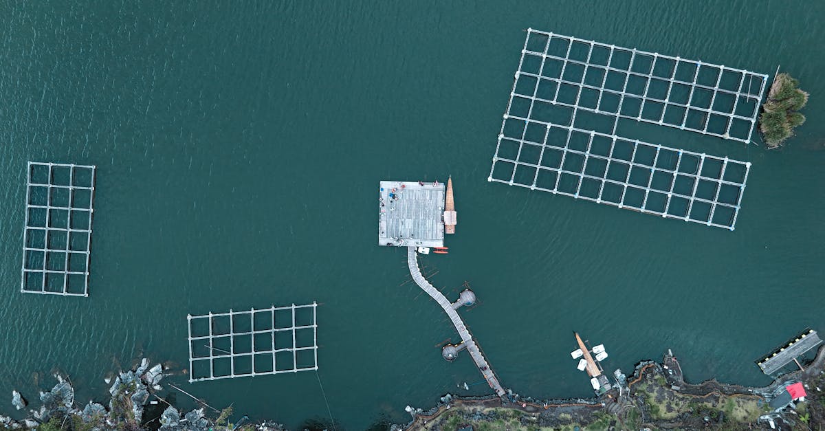 découvrez l'importance des ressources en eau, leurs enjeux, et les solutions pour une gestion durable. informez-vous sur les problématiques liées à l'eau, son accessibilité, et les initiatives pour préserver cette précieuse ressource.