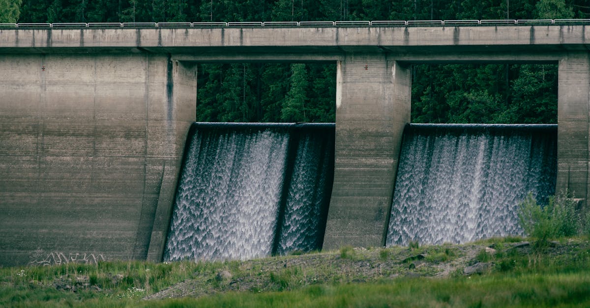 découvrez tout sur les ressources en eau : leur importance, leur gestion durable et les défis liés à leur préservation. apprenez comment chaque geste compte pour protéger cette précieuse ressource vitale pour notre planète et notre avenir.