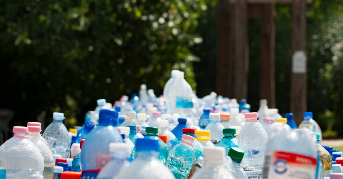 découvrez l'univers du zéro déchet, une démarche écoresponsable visant à réduire vos déchets au quotidien. apprenez des astuces pratiques, des recettes diy et des conseils pour adopter un mode de vie durable, tout en préservant notre planète.