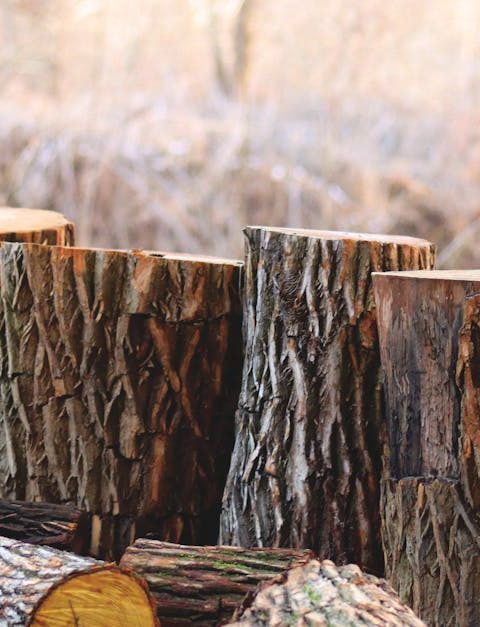 découvrez l'empreinte carbone, son impact sur l'environnement et les moyens de la réduire. apprenez à évaluer votre propre empreinte et explorez des solutions durables pour un mode de vie éco-responsable.