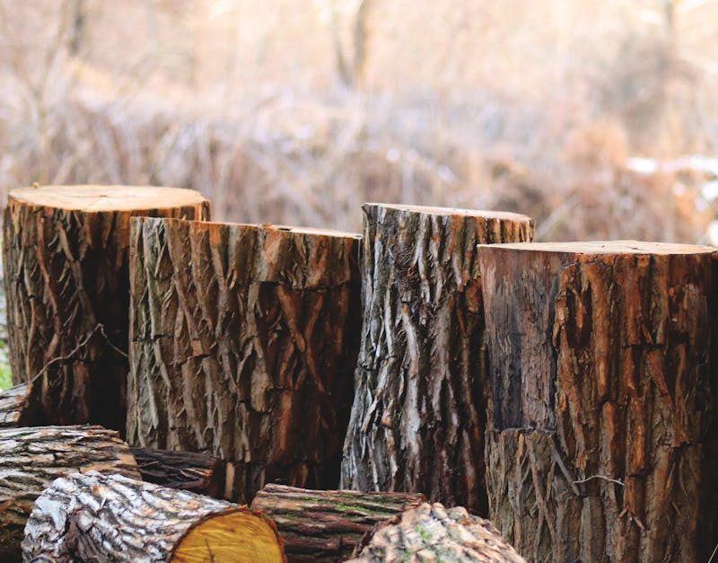 découvrez l'empreinte carbone, son impact sur l'environnement et les moyens de la réduire. apprenez à évaluer votre propre empreinte et explorez des solutions durables pour un mode de vie éco-responsable.