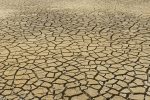 Valorisation des déchets : stratégies innovantes pour un avenir durable