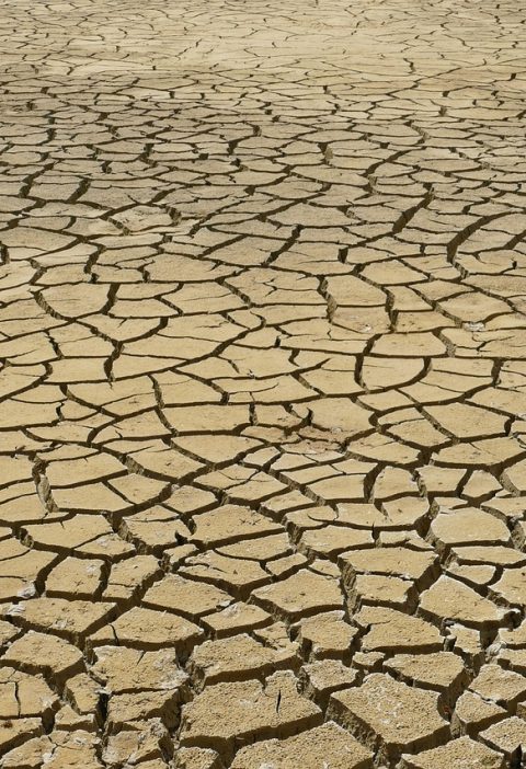 découvrez les enjeux du changement climatique, ses impacts sur notre planète et les actions nécessaires pour préserver notre environnement. informez-vous sur les solutions durables pour faire face à cette crise mondiale.